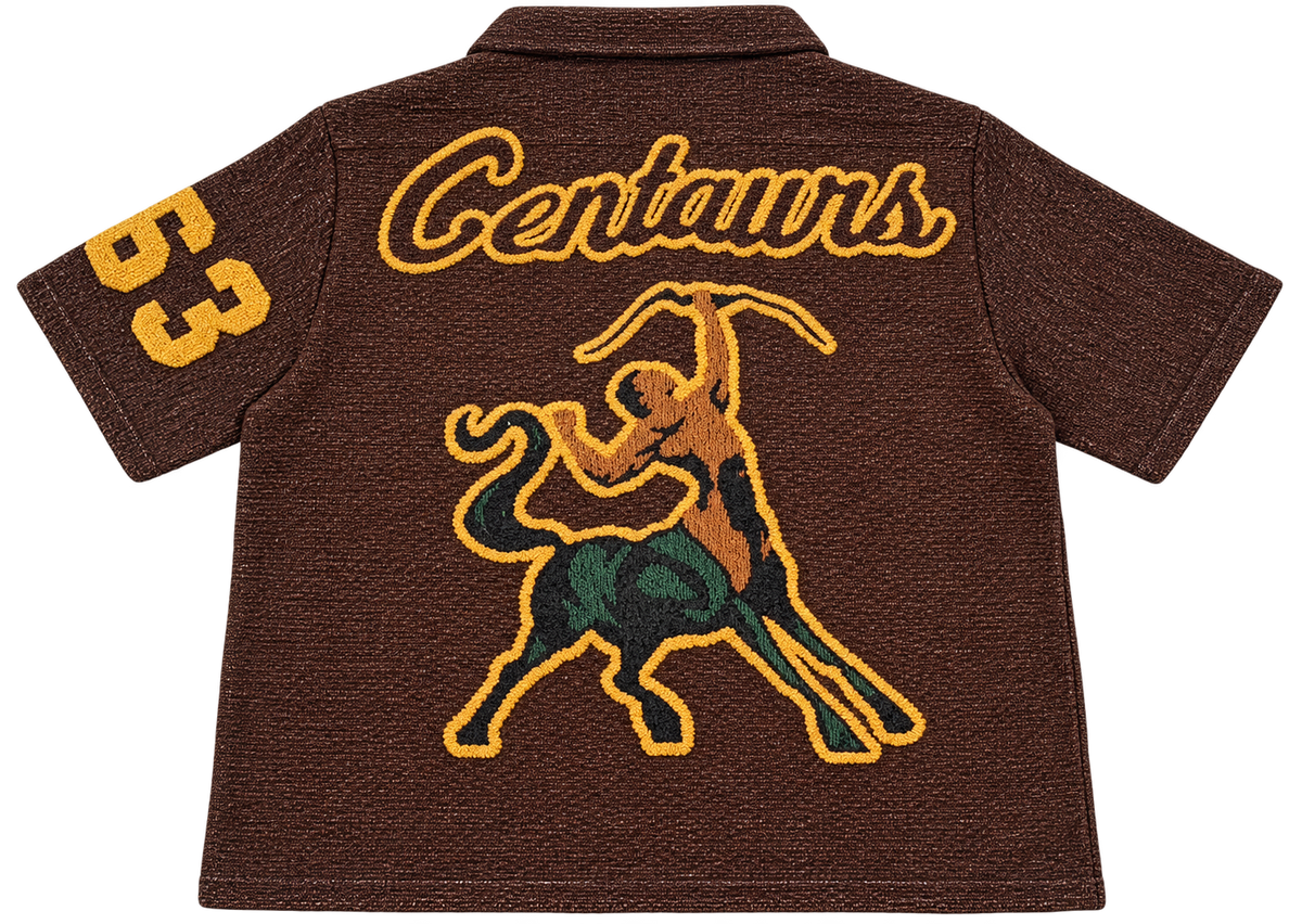 Iota Phi Theta Fraternity, Inc. Tapestry Shirt (PRE-ORDER)